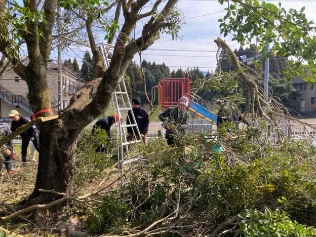 ポリテクセンターでの樹木の剪定・環境整備